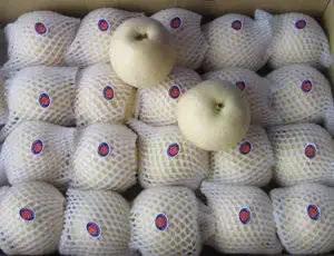 New season of Fresh China Golden Pear/Century Pear/Crown Pear for sale Asian Pears Ya Sand Pear with cheap price