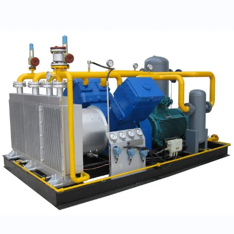China Hot Selling  Cng Natural Gas Filling Stations Piston Compressors