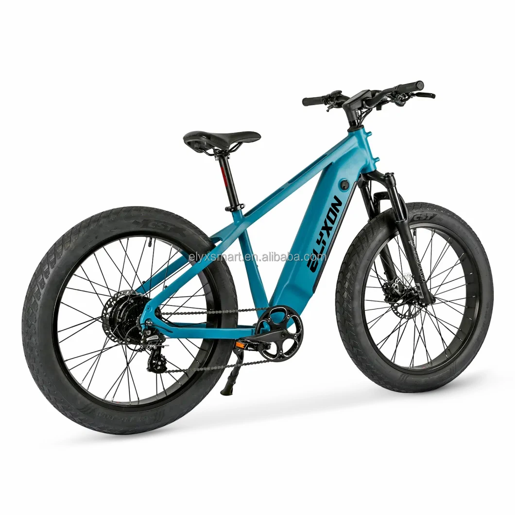 Custom MTB Electric Bike All Terrain 48V Electric Mountain Bike 1000W 750W 500W Hunting Bike 26 Inch Electric Fatbike