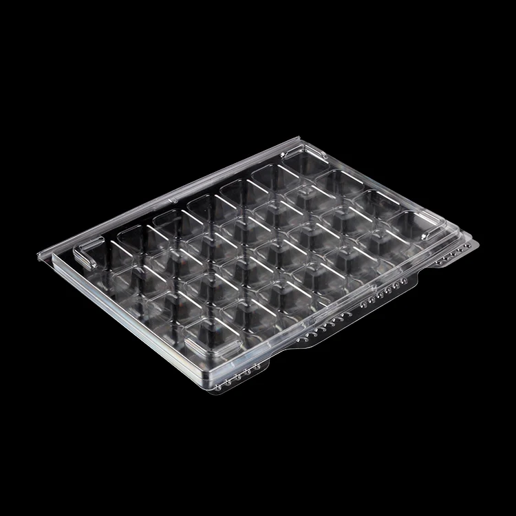 In-Stock Clear Plastic Pill Container Medicine Organizer Blister Dispenser Packaging Plastic Plates & Bowls for Pill Storage