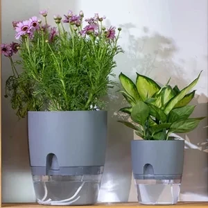 Indoor Office Round Hydroponic Transparent Clear Succulents Planter Self Watering Plastic Flower Plant Pots