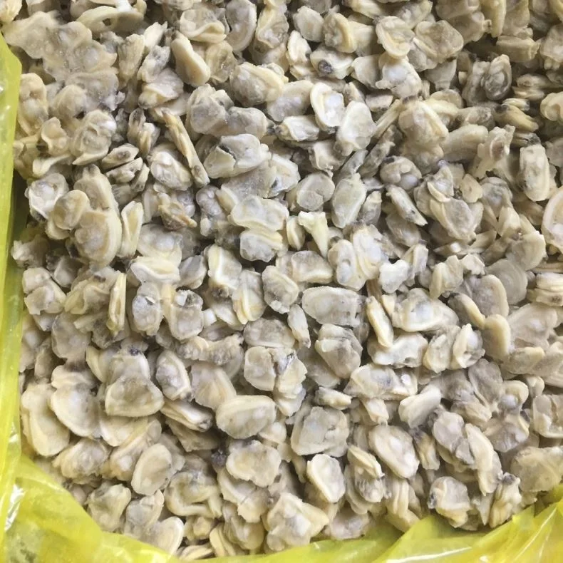 
Frozen Shellfish Wholesaler Export All Specifications Clean Cooked Baby Clam 