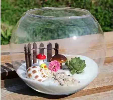 Ball Vase Flower Pot for Succulent Plant Terrarium Office Garden Decor Micro Landscape Clear Glass Modern 100% Hand Blown Glass