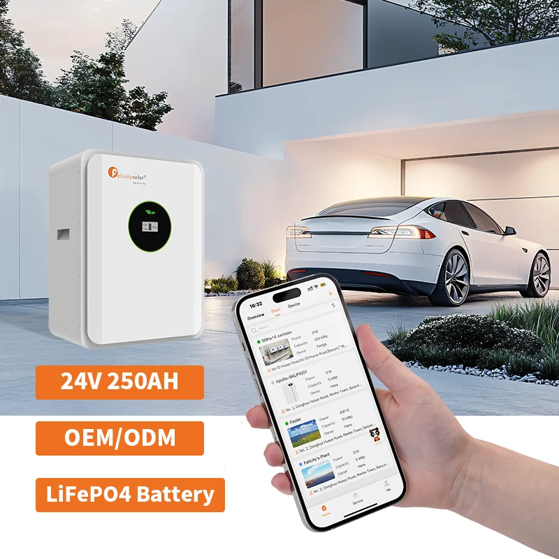 Felicity solar 6 25 кВтч 24 вольт литиевая батарея В lifepo4 batteri купить литий