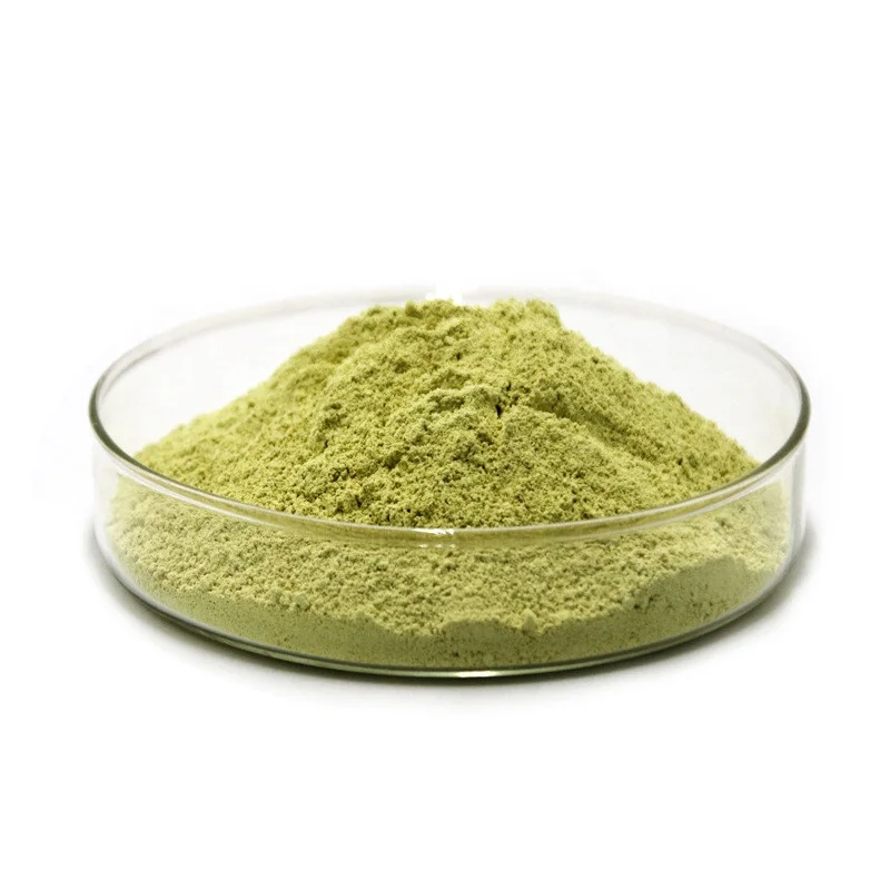 
Wholesale Green Tea Extract 98% Polyphenols 98% EGCG 80% Catechins 