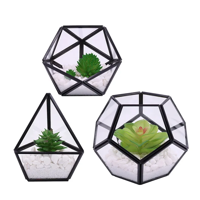 Hot Indoor Succulent Fern Moss Air Plants Display Box Decor Table Window Sill Balcony for Succulent Plant Miniature Fairy Garden