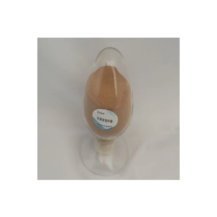 Saccharomyces Cerevisiae Yeast