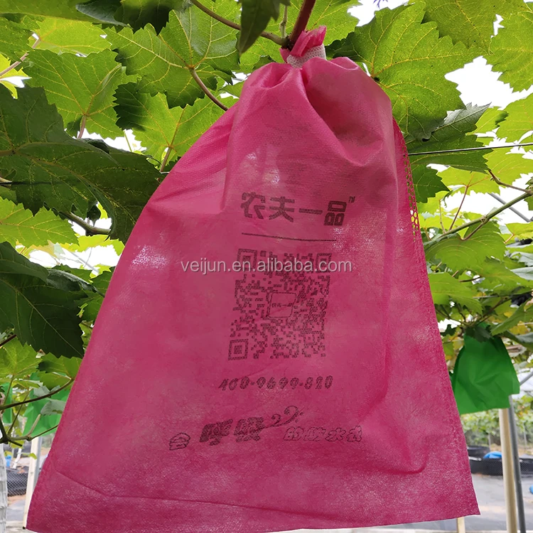 Hight Quality Garden Grape/Banana/Orange Fruit Protection Bags