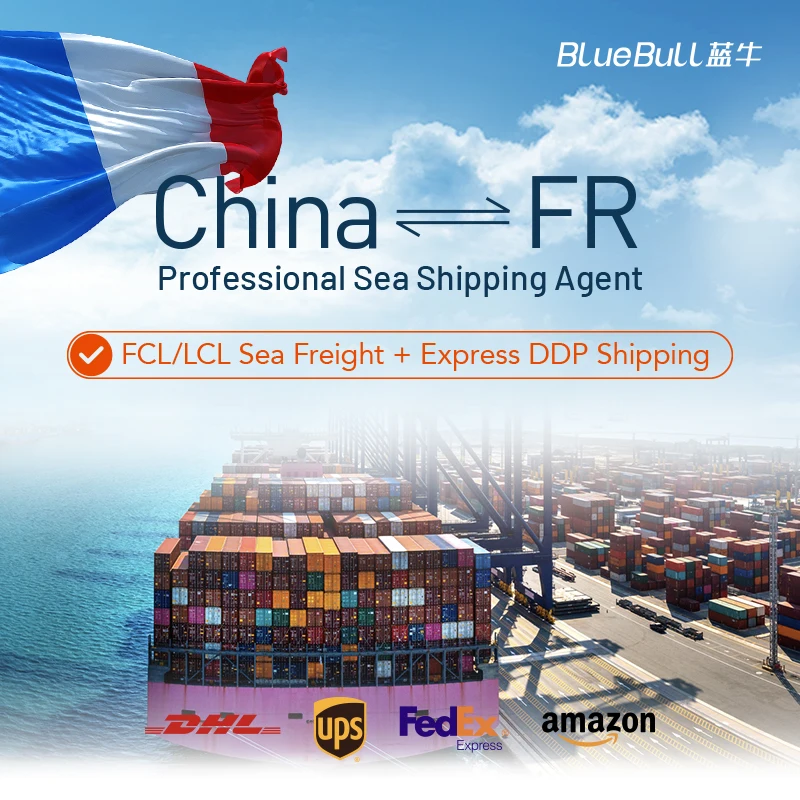 Amazon FBA Door to Door Delivery Service Fba Freight Forwarder China Shipping Agent to France