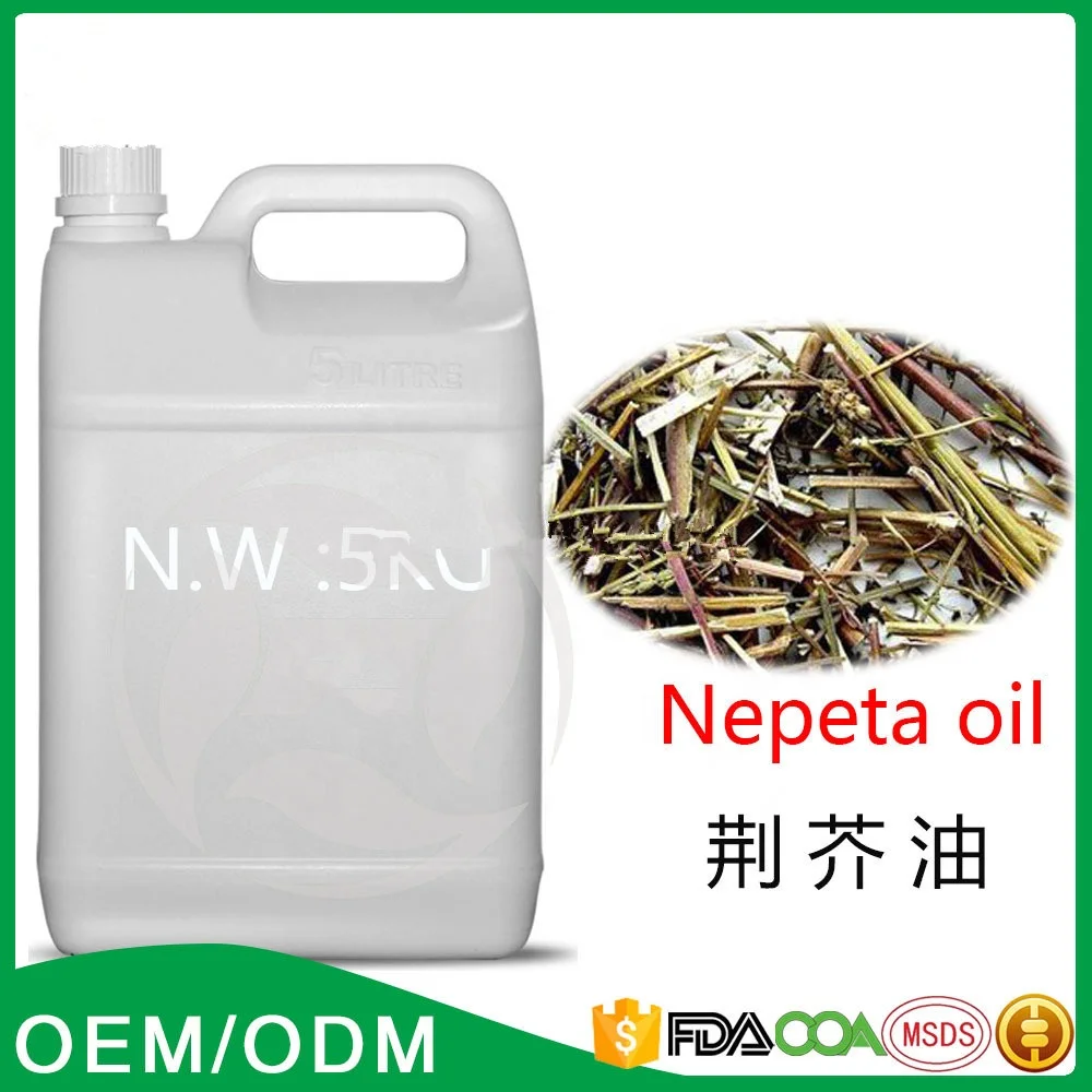 Nepeta Oil Pure Natural Plant Extract Essential Oils Pharmaceutical Raw Material Catnip Essential Oil