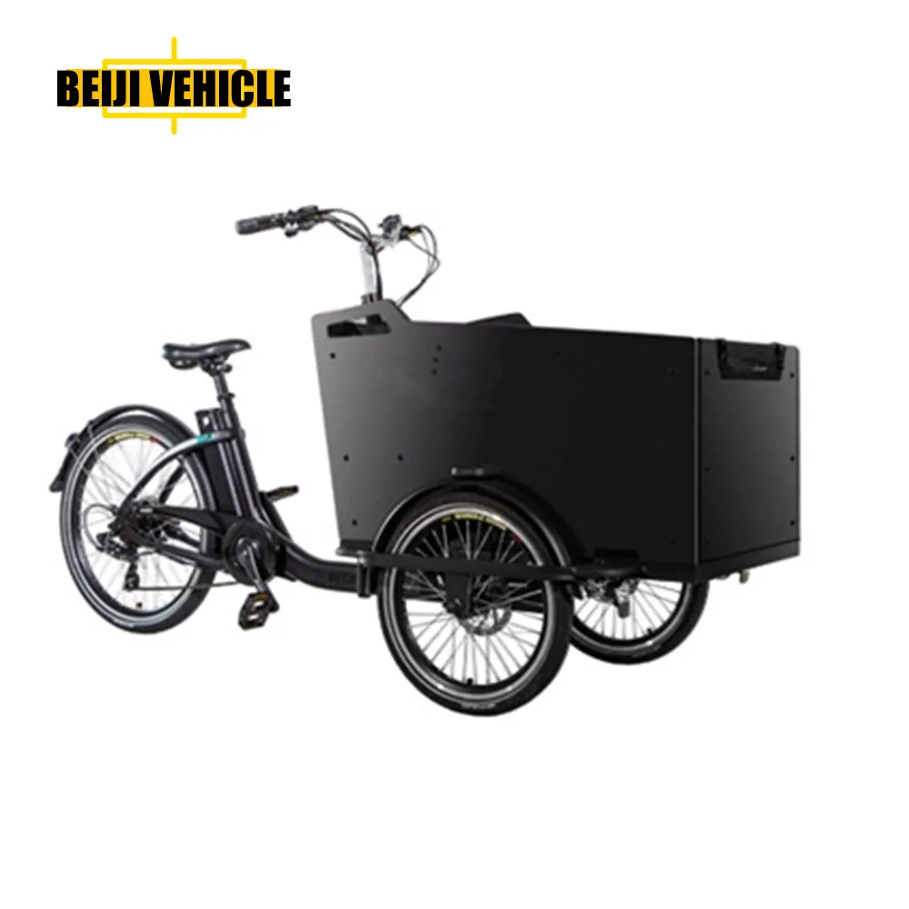 Electric Trikes Cabine Cargo Bike Motorized 3 Wheel Tricycles