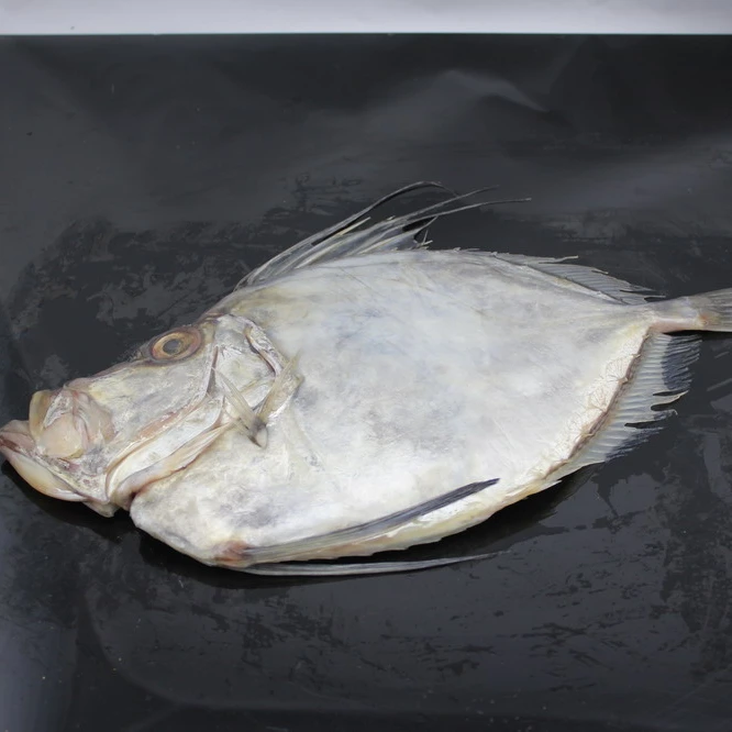 
frozen john dory fillet skin on 