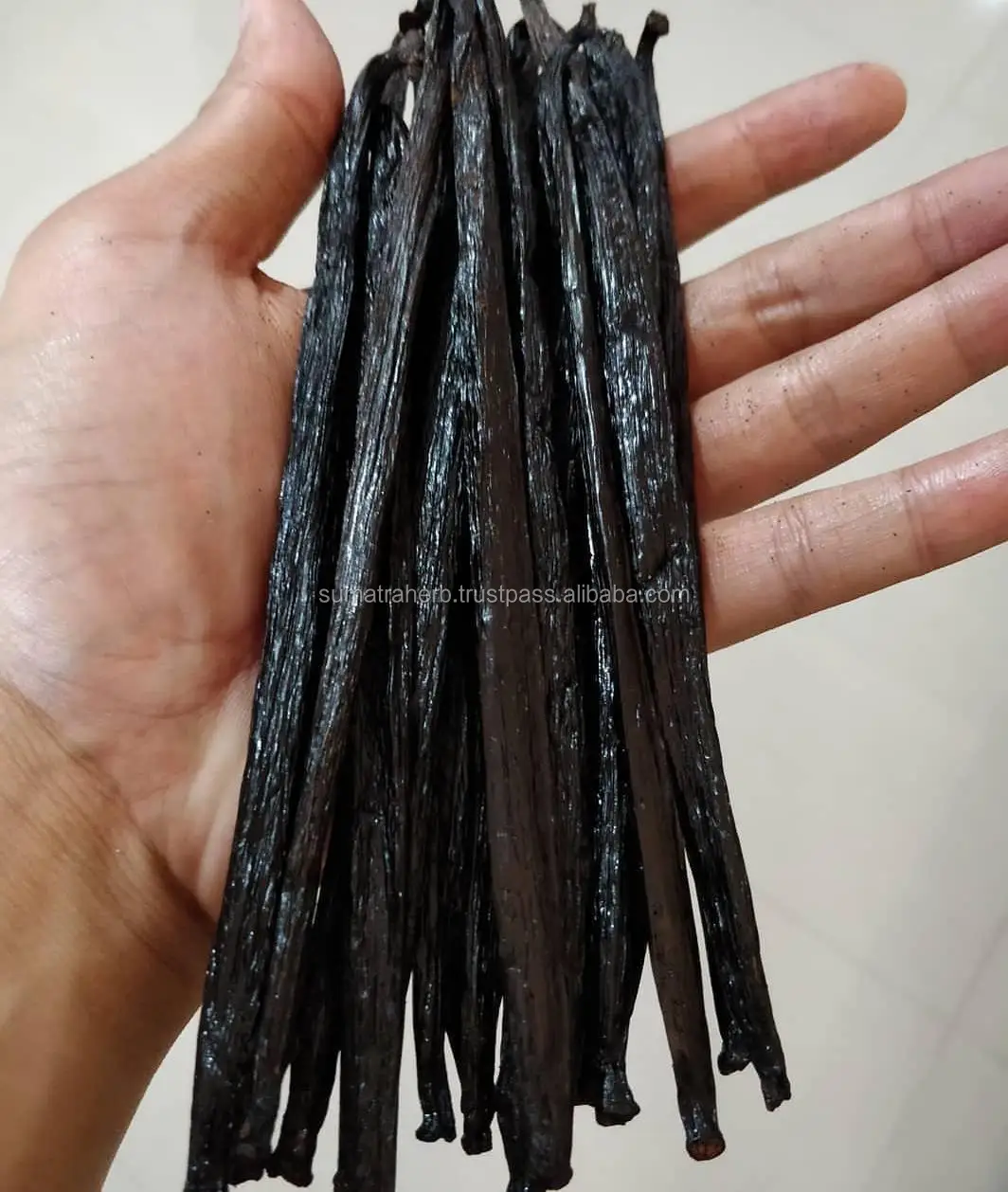 GOURMET BLACK VANILLA | VANILLA BEANS ORIGIN INDONESIA