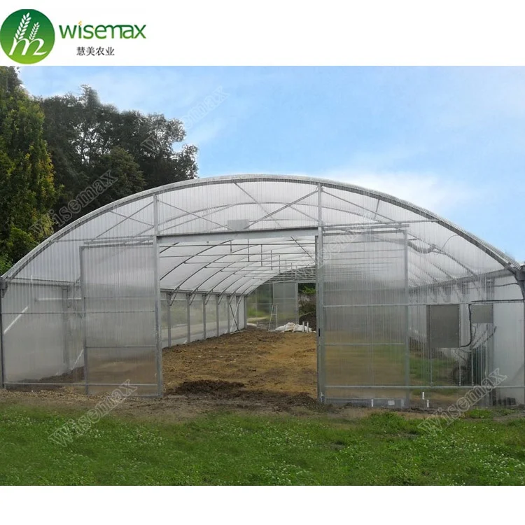 Tomato cucumbers used commercial plastic prefabricated greenhouse