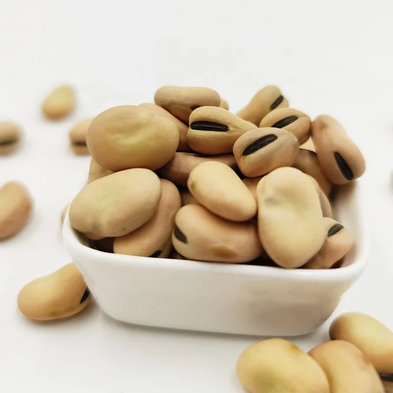 Bulk Faba Beans Baking Ingredients White Bulk Packaging 50kg/pp Bag Dried FD Broad Bean Fava Beans Vicia Faba Hongji 15 Mm 50 Kg