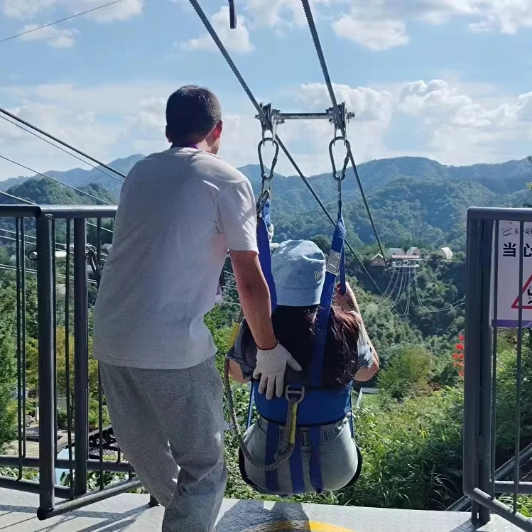 Zip Line Kit with Complete Accessories Ziplines Amusement Park Rides Metal Durable Ziplines