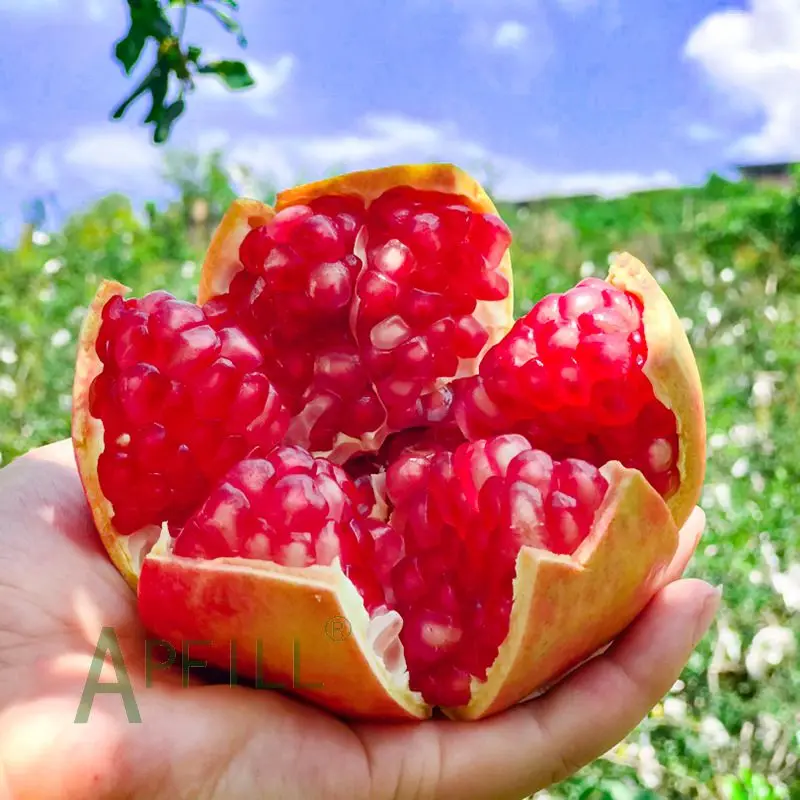 2022 fresh pomegranate  rich in nutritional value  professional planting technology  The most competitive price