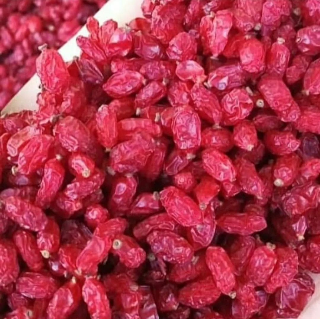 Barberries Dried Barberries  Bulk High Quality Barberry - Zereshk for Sale