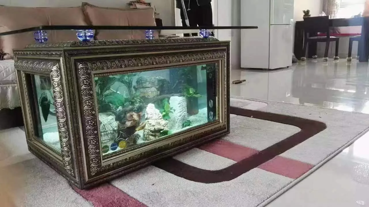 Aquarium Filter Brush 3D Background For Pump Large Decoration Magnetic Cleaner Glass 40 Gallon Fish Tank