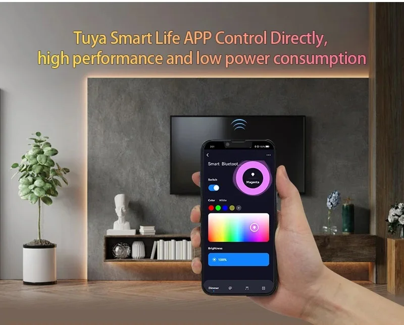 DC 5V 12V 24V Tuya Wifi RGB Pixel LED Controller For LED Strip SPI 1000 Pixel Music Sync RF2.4G APP Control Works with Alexa Eco