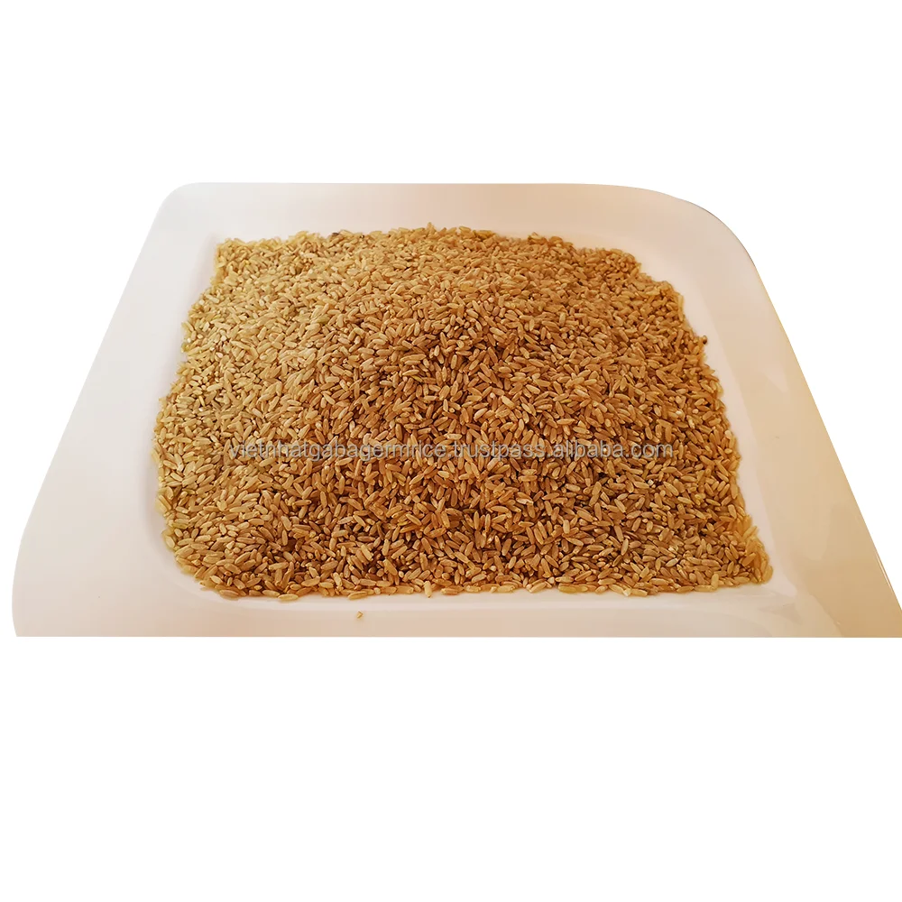 Good choice Viet Nhat Gaba germ rice good for health/Organic whole grain rice good for the digestive system and intestines