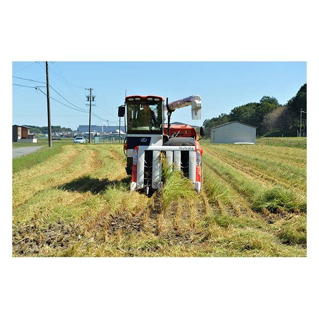 Japan pleasant in taste glass bottle packaged beverage concentrate