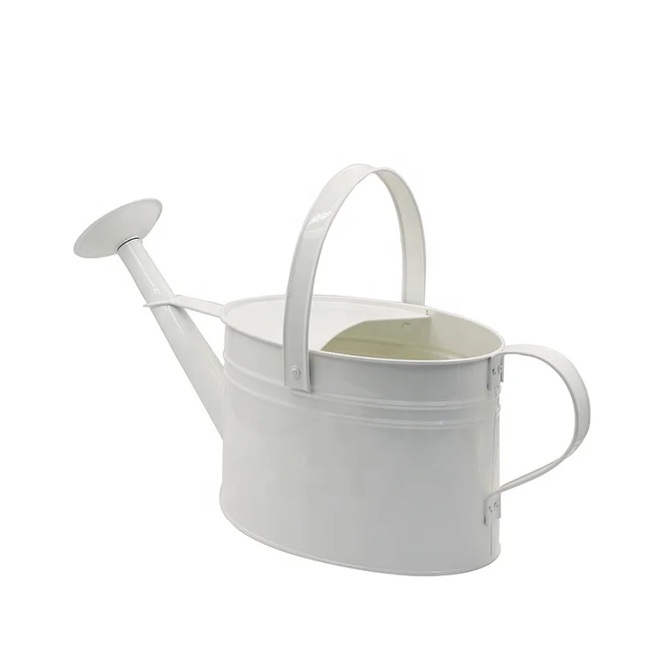 Garden Galvanized Plant Container Accessories 1 Gallon Zinc Oval Watering Can