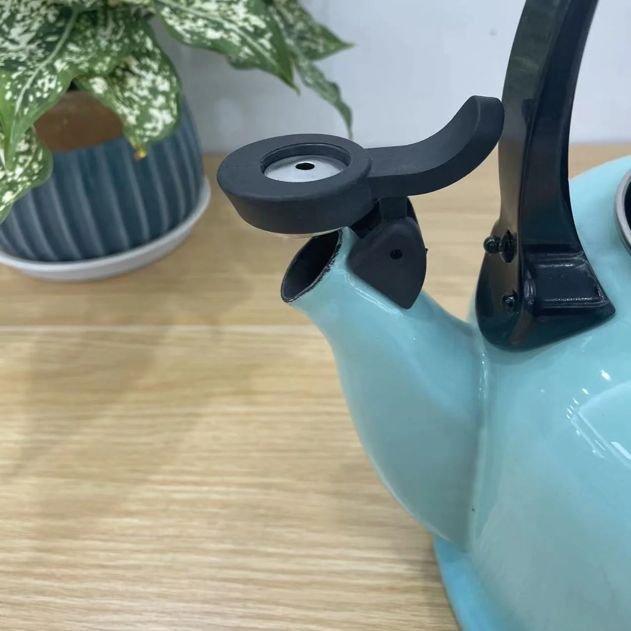 Новое поступление эмалированный чайник со свистком из нержавеющей стали