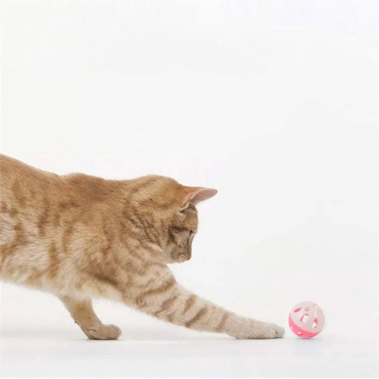 Good Quality And Interesting Pet Cat Interactive Plastic Hollow Ball Toy With Bell