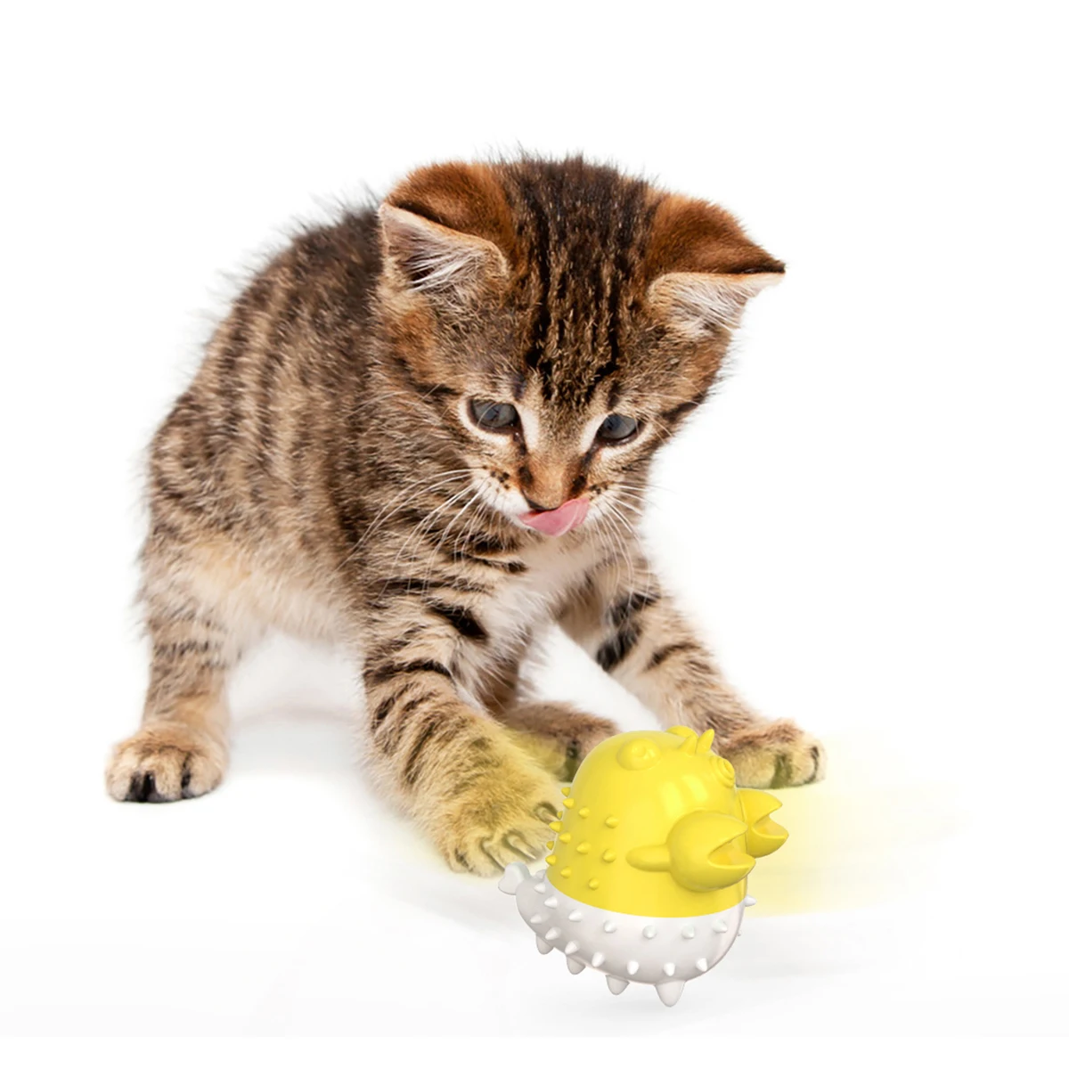 High quality new automatic cat toothbrush interactive cat pet toy