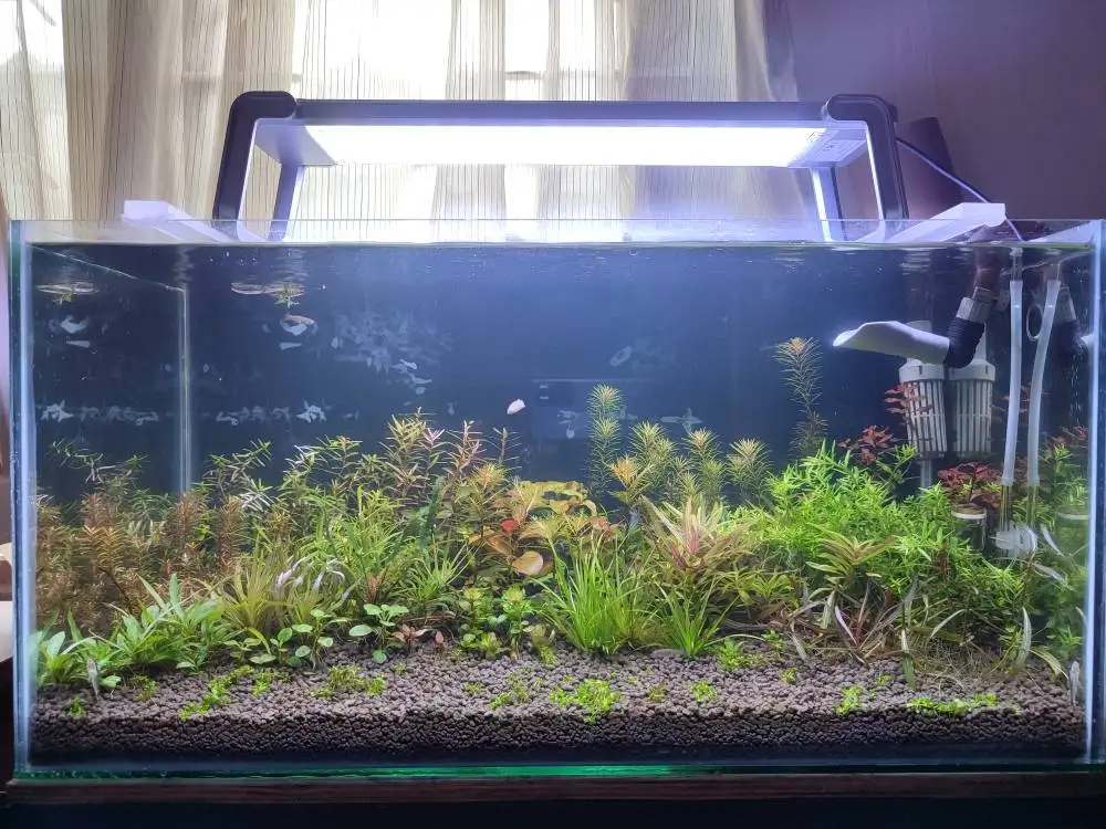 lights on aquariums (3).jpg