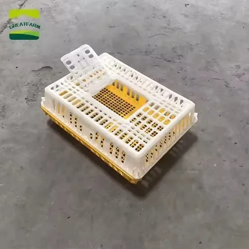 2025 Hot Selling Animal & Poultry Husbandry Equipment Chick Transport Box for Layers Broiler Chickens