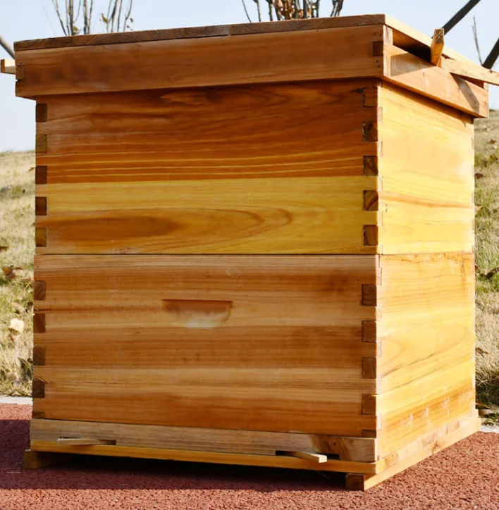 New style Langstroth bee hive fir wooden beehive/bee hive hot sale