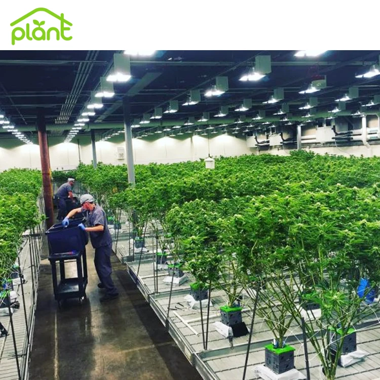 USA Canada Medical Herb Seedbed Hydroponic Rolling Benches Flood Table Grow Trays Rolling Bench