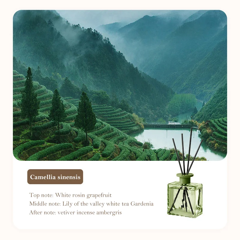 Molly Glory 100ml Home Fragrance Osmanthus Gardenia Essential Oil Air Freshener Aromatherapy Reed Diffuser