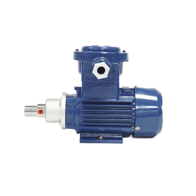 Small Miniature Stainless Steel Magnetic Drive Gear Pump Gear Oil Pump External Drive Micro Gear Pump