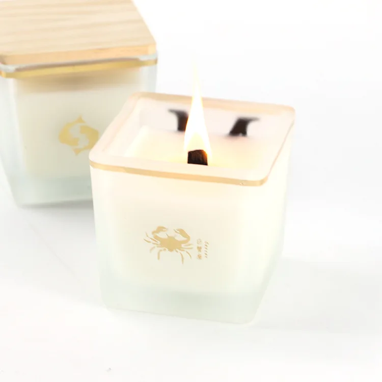 Wholesale Home Decor Style Scented Candles Soybean Wax Candles Scented Creative Western Europe Customized Logo Customization 26