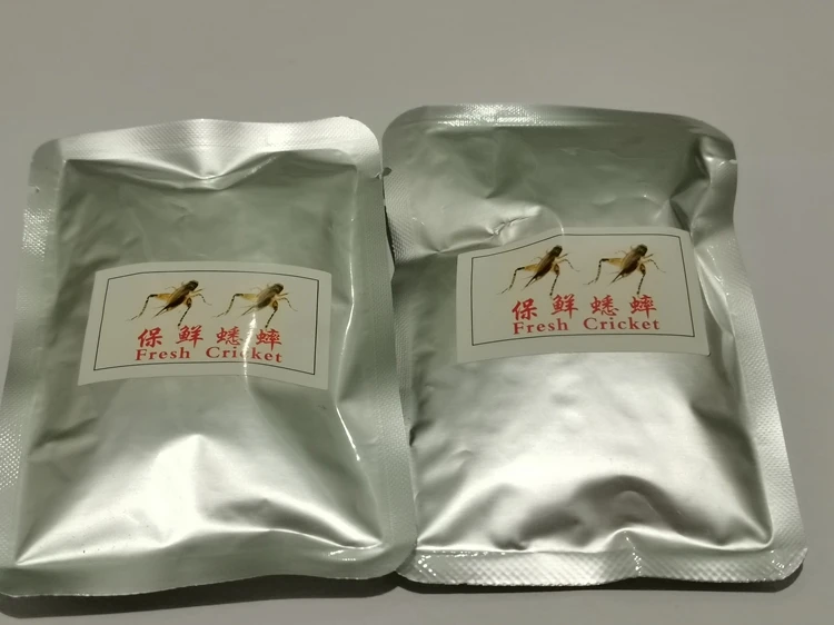 Fresh crickets - Preferred choice for international pet lovers. Nutritious and delicious. Used for feeding a variety of pets.