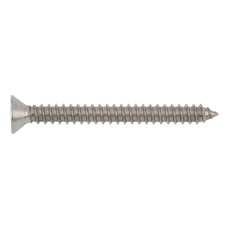 Haiyan Stainless Steel Cross Slotted Thread Forming Tapping Screws Self Assorted Kit