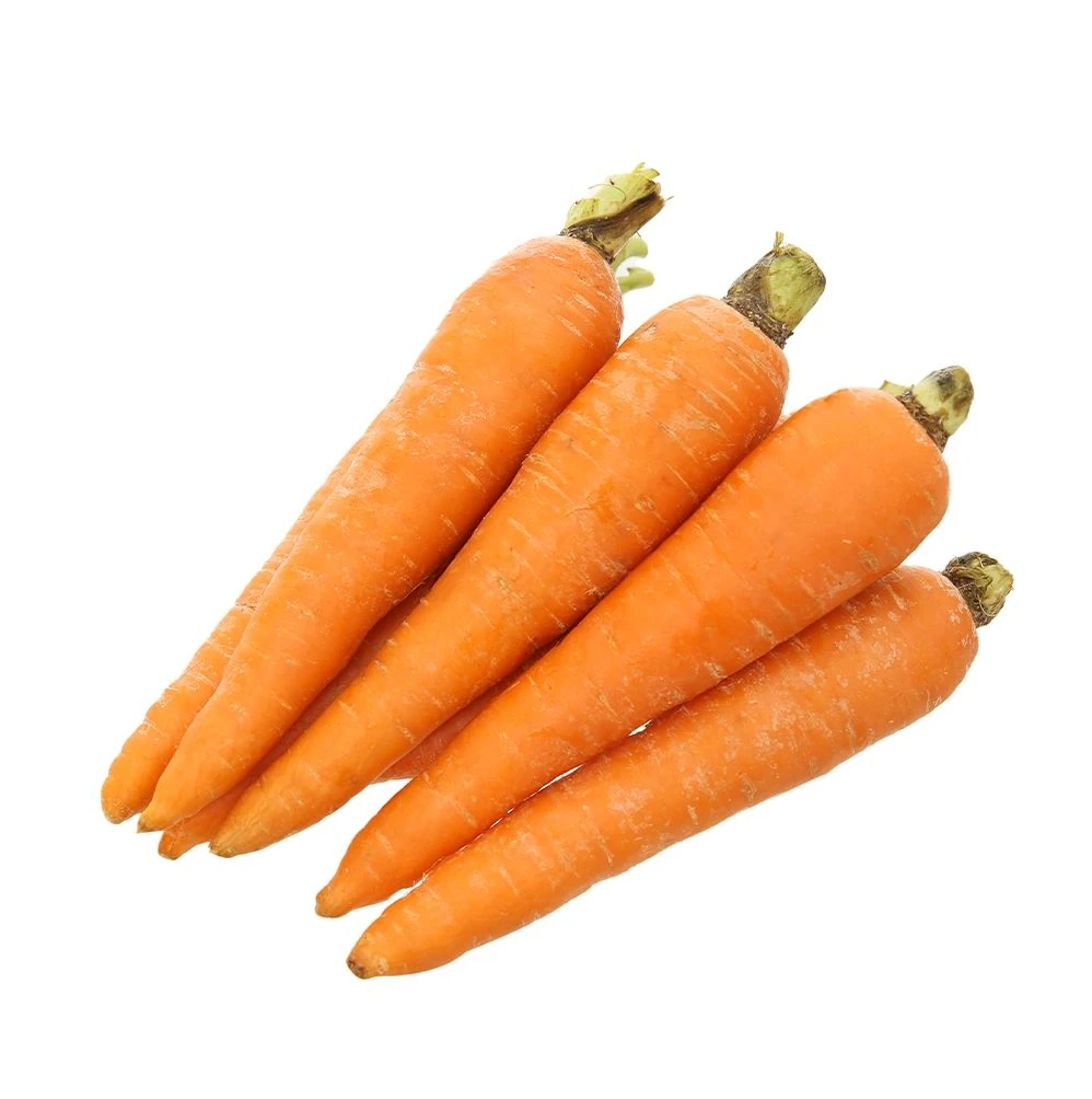 New crop fresh organic vegetables wholesale carot/carrot seeds price of carrots in bulk for export