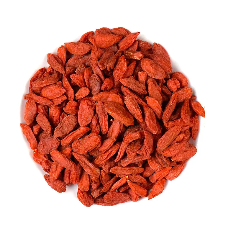 Hot Selling Organic Dried Goji Berry Herbal Fruit Tea Goji Berry Private Label Tea for Health