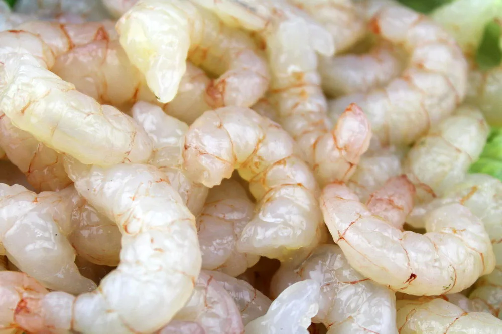 
Hot sale fresh seafood red frozen shrimps 50/70 with good price 