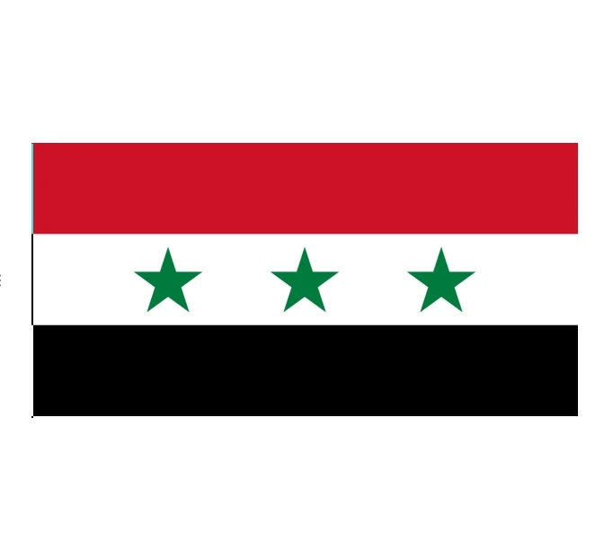Custom 100% Polyester Syria Saudi Arabia Qatar Afghanistan Lebanon Bahrain 3x5 Ft National Country Flag