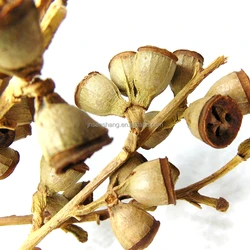 berries wholesale berries flower bouquet for wedding table centerpieces Eucalyptus fruit