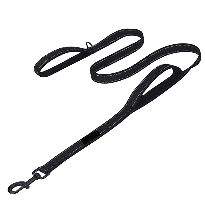 Hanyang OEM Custom Two Double Handles Dog Leash Reflective Nylon Dog Leash Dog Collar Pet Lead Custom Pet Products Pet Supplies