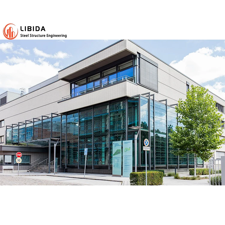 Professional Designed Steel Structure Workshop Prefab Store Steel Structure Building Industrial Warehouse