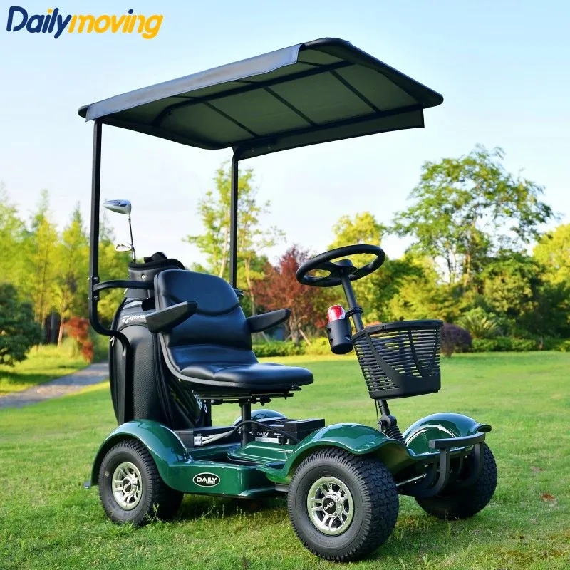 Single Seat CE Certified Electric Buggy Compact Portable with Electromagnetic Brake