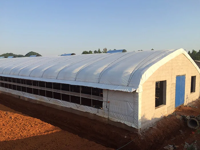 Steel frame chicken shed prefab poultry farm low cost chicken coop houses