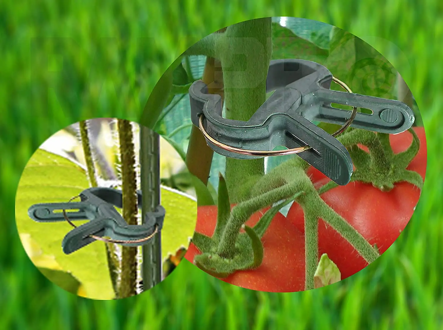 Green Gardening Plant Flower Lever Loop Gripper Clips for Supporting or Straightening Stems Stalks and Vines