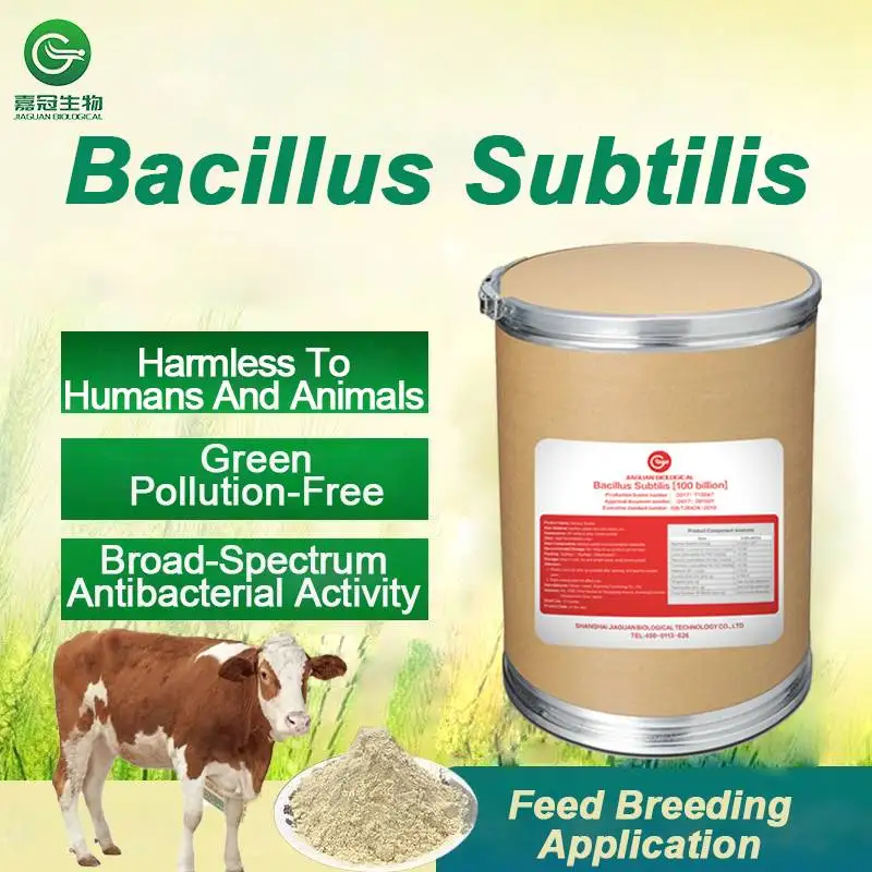 Bacillus Subtilis Animal Feed Additive Probiotics For Animal Feed For Cattle And Sheep Ruminants